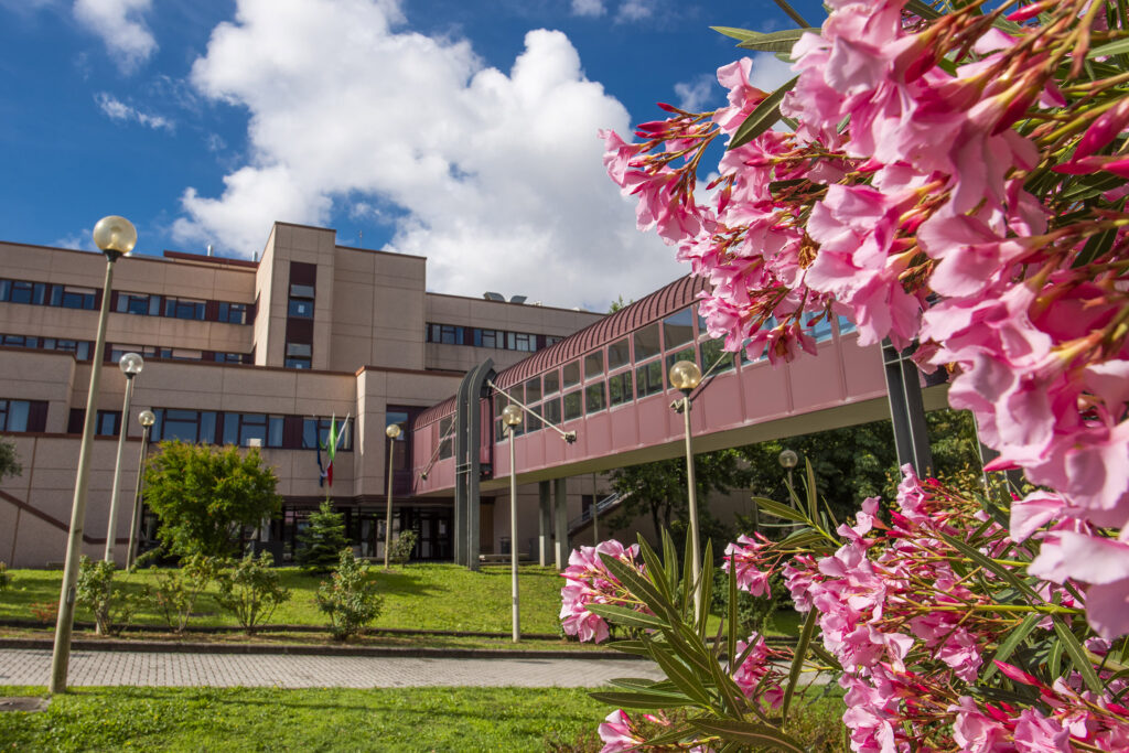 L’Ateneo e la Macroarea